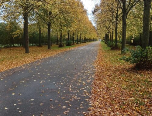 Sportief genieten!