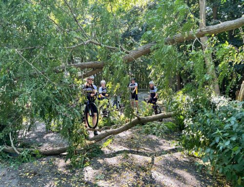 Sportieven snoeien stormschade