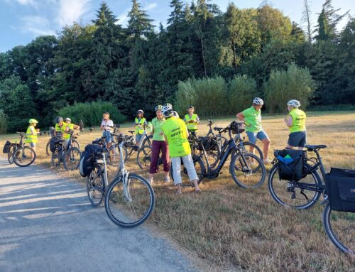 Recreanten genieten van bossen en natuurpracht